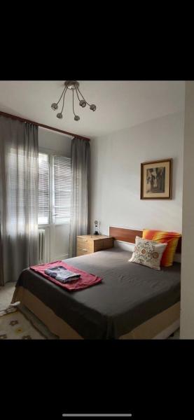 Central Apartment
